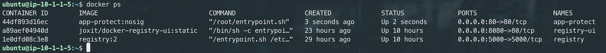 ../../../_images/docker_run.png