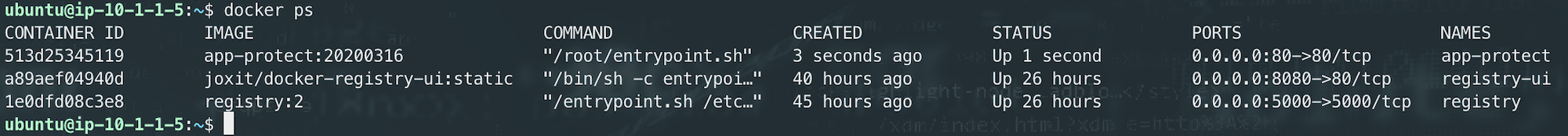 ../../../_images/docker_run1.png