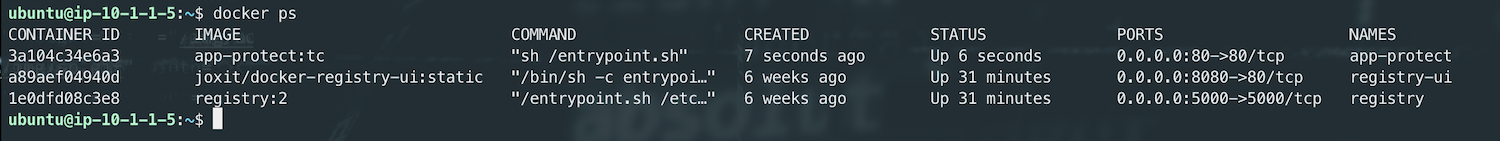 ../../../_images/docker_run2.png