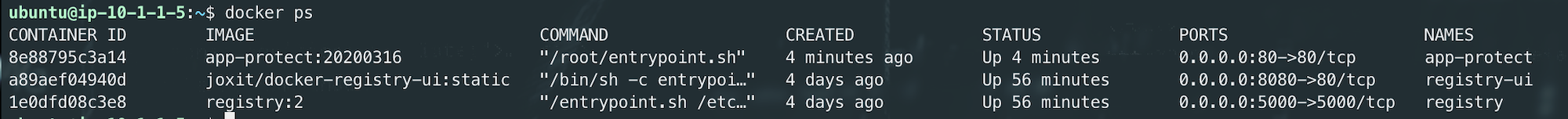 ../../_images/docker-ps.png