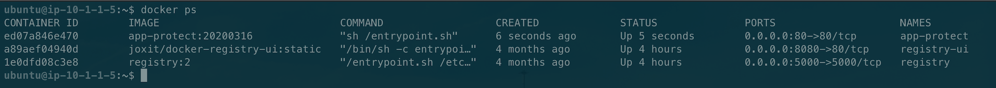 ../../_images/docker-ps-owasp.png